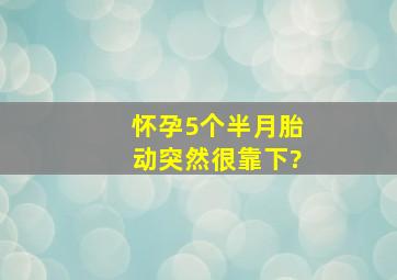 怀孕5个半月胎动突然很靠下?