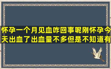 怀孕一个月见血咋回事呢,刚怀孕今天出血了出血量不多,但是不知道有...