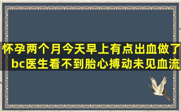 怀孕两个月,今天早上有点出血,做了bc,医生看不到胎心搏动,未见血流...