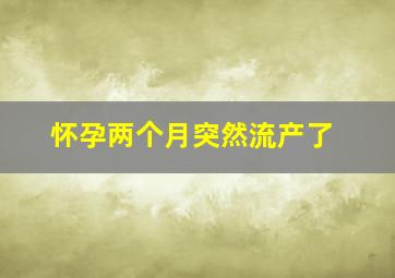 怀孕两个月突然流产了