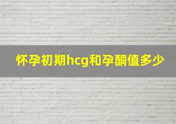 怀孕初期hcg和孕酮值多少