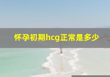 怀孕初期hcg正常是多少