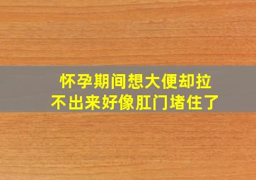 怀孕期间想大便却拉不出来好像肛门堵住了