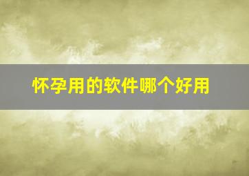 怀孕用的软件哪个好用