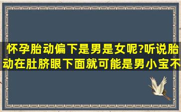 怀孕胎动偏下是男是女呢?听说胎动在肚脐眼下面就可能是男小宝,不...