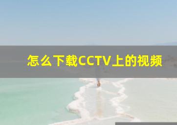 怎么下载CCTV上的视频