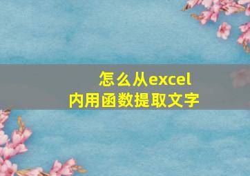 怎么从excel内用函数提取文字