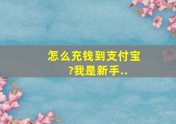 怎么充钱到支付宝 ,?我是新手..