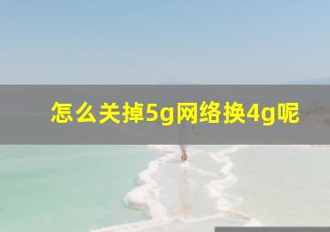 怎么关掉5g网络换4g呢(