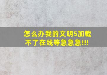 怎么办,我的文明5加载不了,在线等急,急急!!!