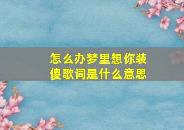 怎么办梦里想你装傻歌词是什么意思