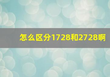 怎么区分1728和2728啊