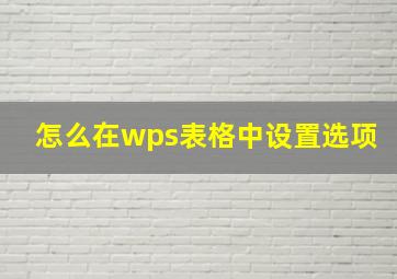 怎么在wps表格中设置选项