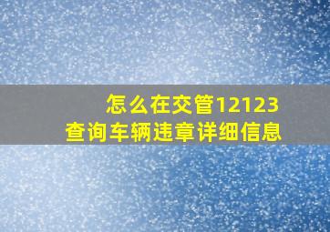 怎么在交管12123查询车辆违章详细信息