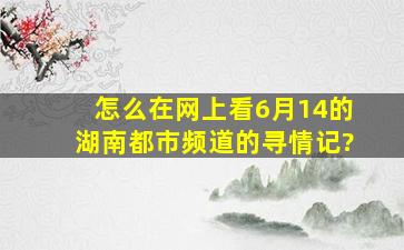 怎么在网上看6月14的湖南都市频道的寻情记?