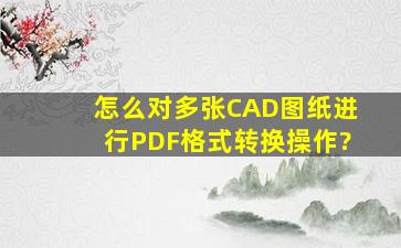 怎么对多张CAD图纸进行PDF格式转换操作?