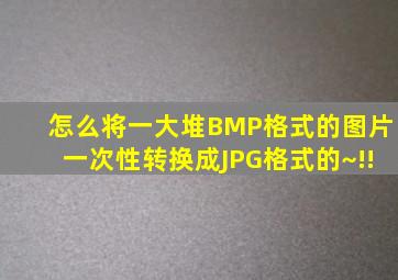怎么将一大堆BMP格式的图片一次性转换成JPG格式的~!!