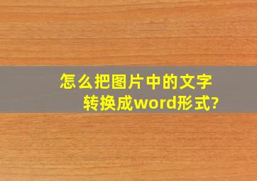 怎么把图片中的文字转换成word形式?