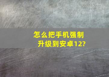 怎么把手机强制升级到安卓12?