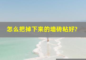 怎么把掉下来的墙砖粘好?