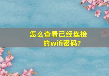 怎么查看已经连接的wifi密码?