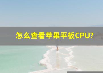 怎么查看苹果平板CPU?