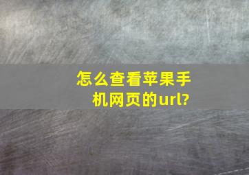 怎么查看苹果手机网页的url?