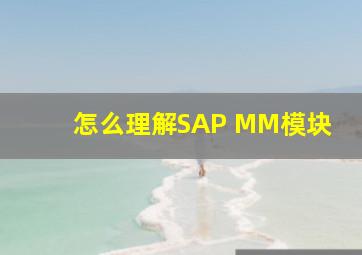 怎么理解SAP MM模块