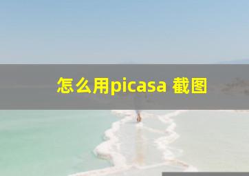 怎么用picasa 截图