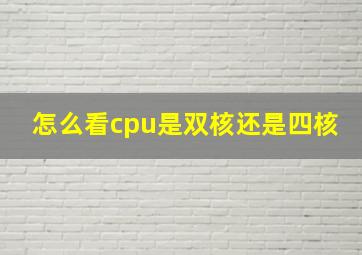 怎么看cpu是双核还是四核(