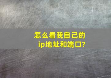 怎么看我自己的ip地址和端口?