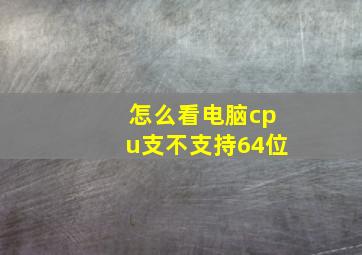 怎么看电脑cpu支不支持64位