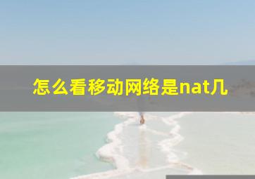 怎么看移动网络是nat几