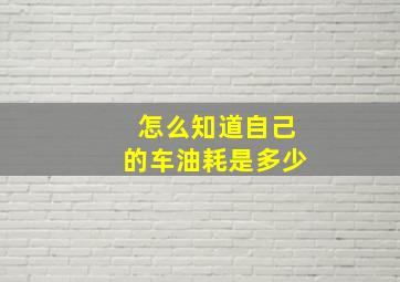 怎么知道自己的车油耗是多少