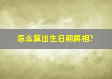 怎么算出生日期属相?