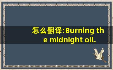 怎么翻译:Burning the midnight oil.