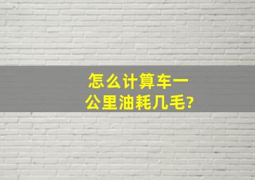 怎么计算车一公里油耗几毛?