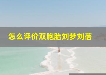 怎么评价双胞胎刘梦刘蓓 