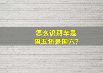 怎么识别车是国五还是国六?