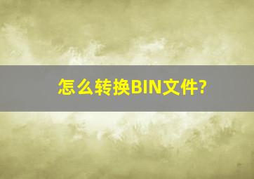 怎么转换BIN文件?