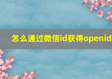 怎么通过微信id获得openid