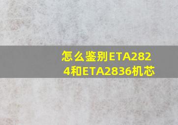 怎么鉴别ETA2824和ETA2836机芯