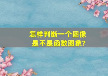 怎样判断一个图像是不是函数图象?