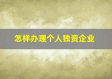 怎样办理个人独资企业