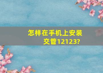 怎样在手机上安装交管12123?