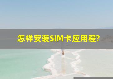 怎样安装SIM卡应用程?