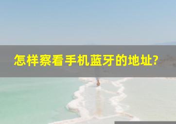 怎样察看手机蓝牙的地址?