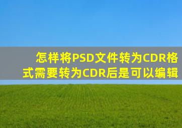 怎样将PSD文件转为CDR格式,需要转为CDR后是可以编辑