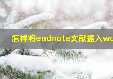 怎样将endnote文献插入word