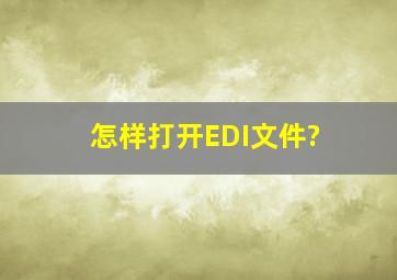 怎样打开EDI文件?